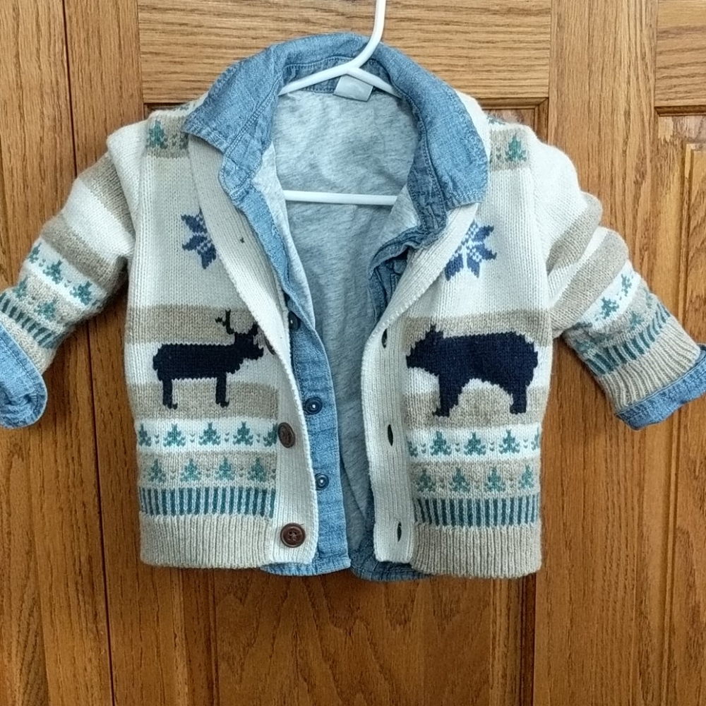 Baby gap sweater and lined undershirt.